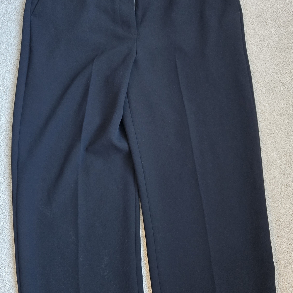 Aritzia Limitless Pant Size 10 SHORT